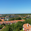 142.jpg