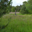 144.jpg