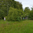 59.jpg