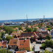 79.jpg